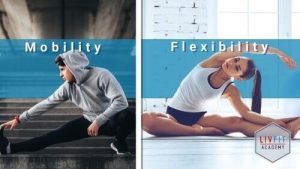 تفاوت mobility و flexibility