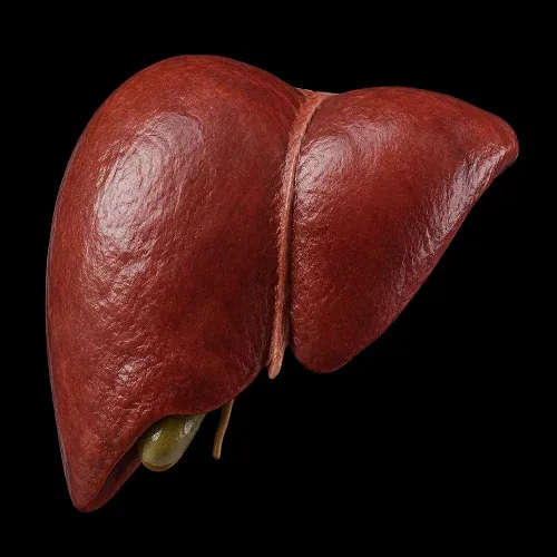 پاکسازی کبد بعد از دوره مکمل
